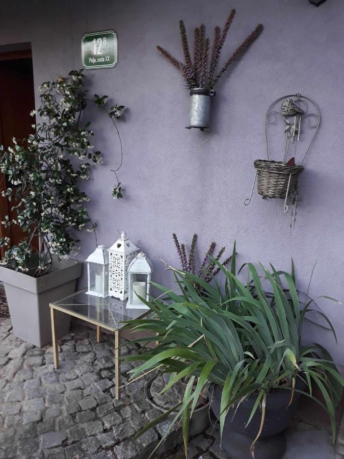 Camping Under The Walnut In Your Own Tent On A Shared Lot And Shared Bathroom Liubliana Exterior foto